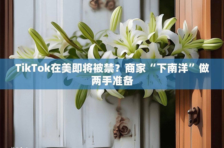 TikTok在美即将被禁？商家“下南洋”做两手准备