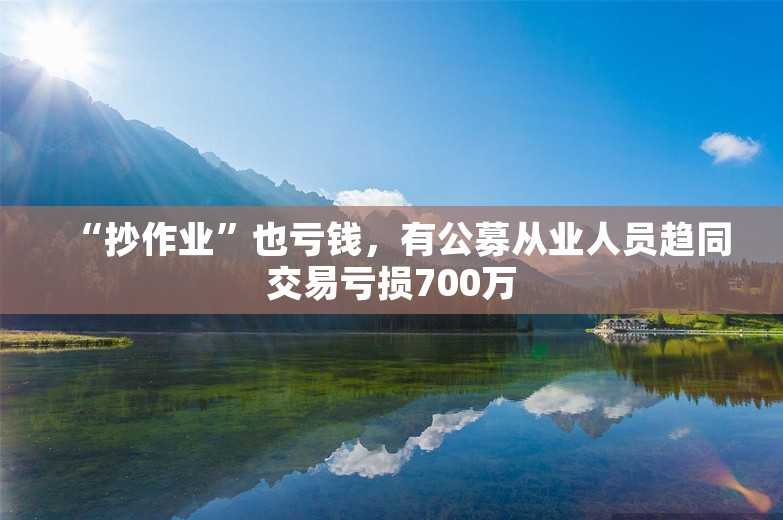 “抄作业”也亏钱，有公募从业人员趋同交易亏损700万