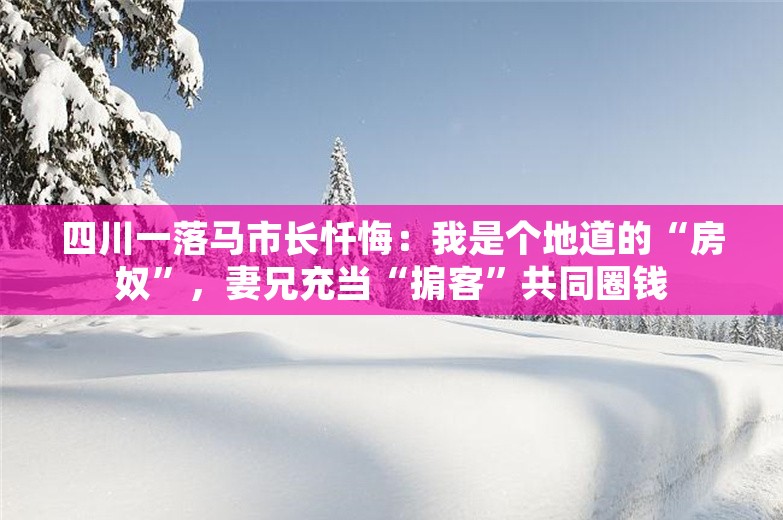 四川一落马市长忏悔：我是个地道的“房奴”，妻兄充当“掮客”共同圈钱