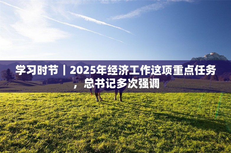 学习时节｜2025年经济工作这项重点任务，总书记多次强调