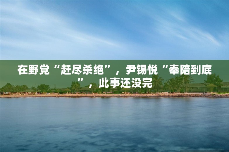 在野党“赶尽杀绝”，尹锡悦“奉陪到底”，此事还没完