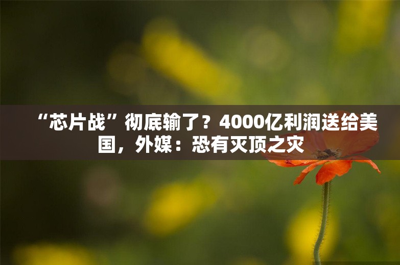 “芯片战”彻底输了？4000亿利润送给美国，外媒：恐有灭顶之灾