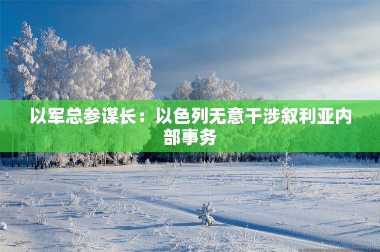 以军总参谋长：以色列无意干涉叙利亚内部事务