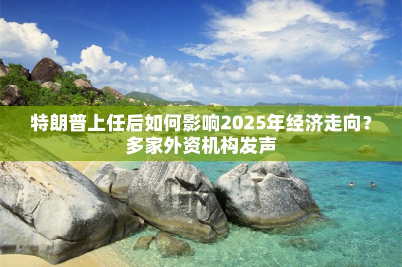 特朗普上任后如何影响2025年经济走向？多家外资机构发声