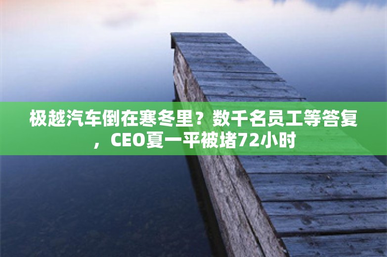 极越汽车倒在寒冬里？数千名员工等答复，CEO夏一平被堵72小时