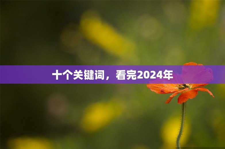 十个关键词，看完2024年