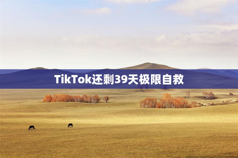 TikTok还剩39天极限自救