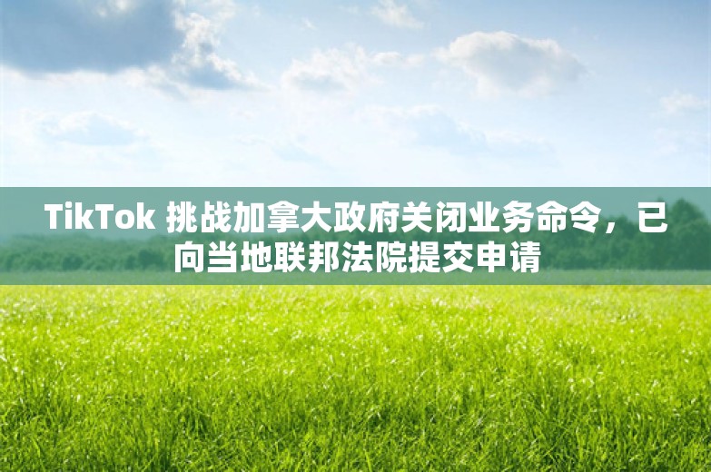 TikTok 挑战加拿大政府关闭业务命令，已向当地联邦法院提交申请