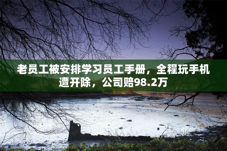 老员工被安排学习员工手册，全程玩手机遭开除，公司赔98.2万