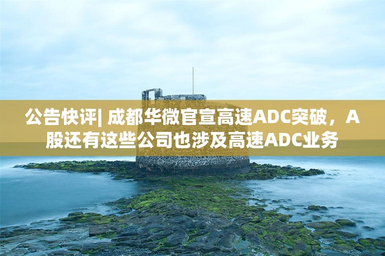 公告快评| 成都华微官宣高速ADC突破，A股还有这些公司也涉及高速ADC业务