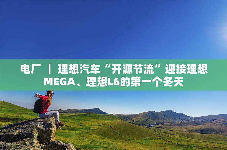 电厂 ｜ 理想汽车“开源节流”迎接理想MEGA、理想L6的第一个冬天