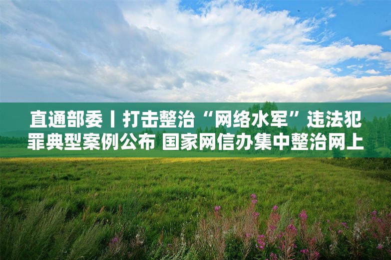 直通部委丨打击整治“网络水军”违法犯罪典型案例公布 国家网信办集中整治网上金融信息乱象