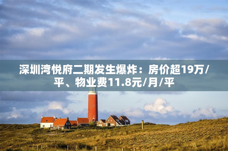 深圳湾悦府二期发生爆炸：房价超19万/平、物业费11.8元/月/平