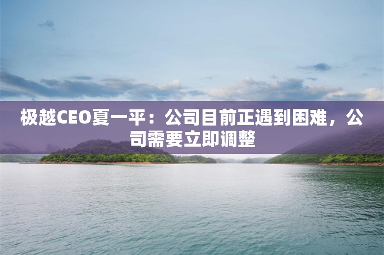 极越CEO夏一平：公司目前正遇到困难，公司需要立即调整