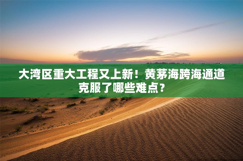 大湾区重大工程又上新！黄茅海跨海通道克服了哪些难点？