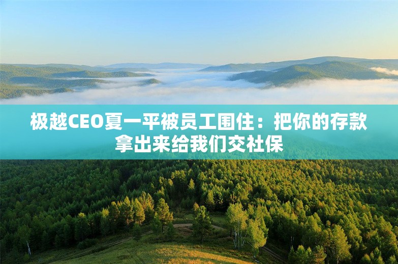 极越CEO夏一平被员工围住：把你的存款拿出来给我们交社保