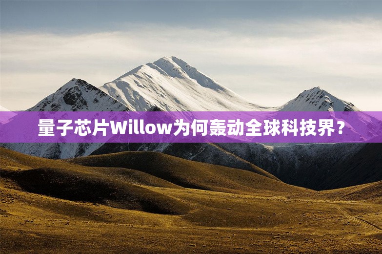 量子芯片Willow为何轰动全球科技界？