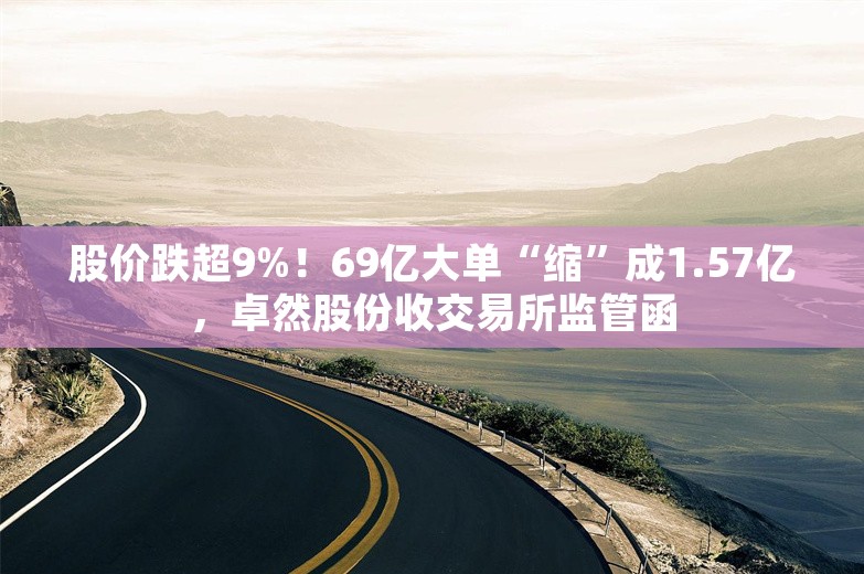 股价跌超9%！69亿大单“缩”成1.57亿，卓然股份收交易所监管函