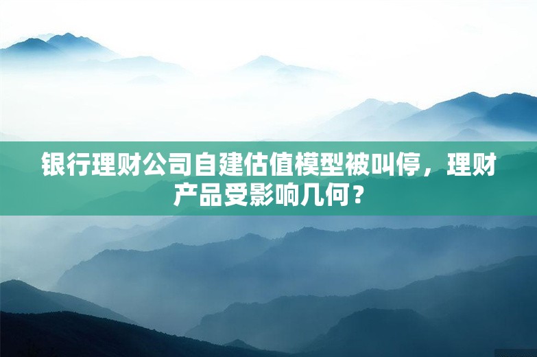 银行理财公司自建估值模型被叫停，理财产品受影响几何？