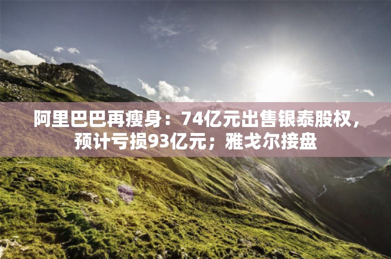 阿里巴巴再瘦身：74亿元出售银泰股权，预计亏损93亿元；雅戈尔接盘