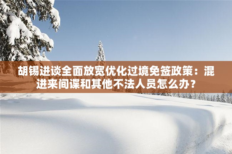 胡锡进谈全面放宽优化过境免签政策：混进来间谍和其他不法人员怎么办？