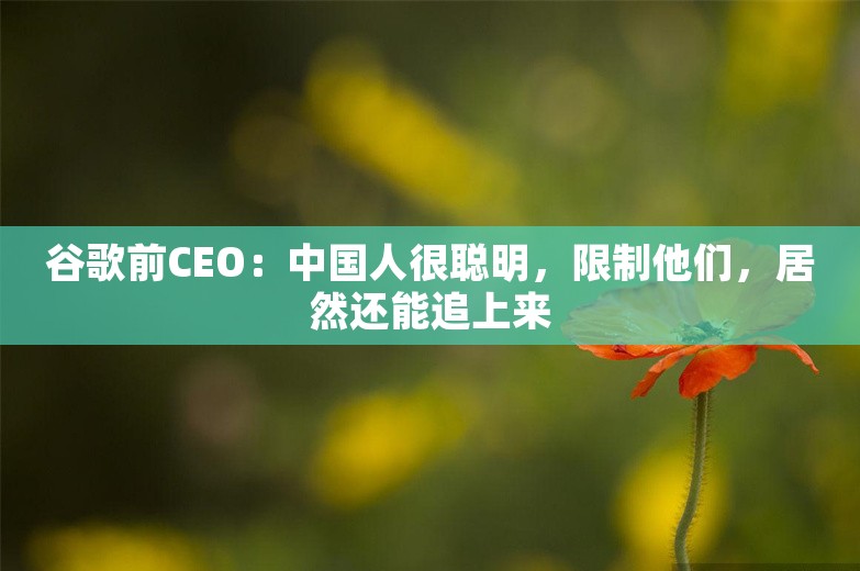 谷歌前CEO：中国人很聪明，限制他们，居然还能追上来