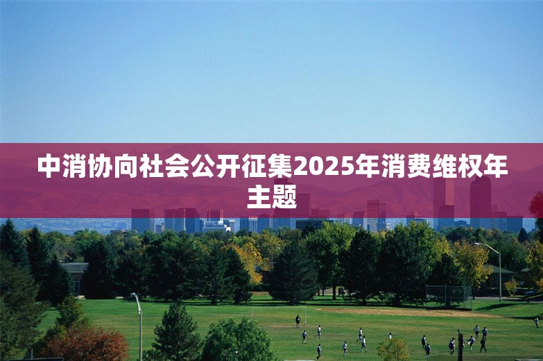 中消协向社会公开征集2025年消费维权年主题