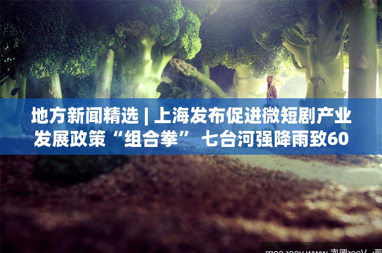 地方新闻精选 | 上海发布促进微短剧产业发展政策“组合拳” 七台河强降雨致6000余公顷农作物受灾