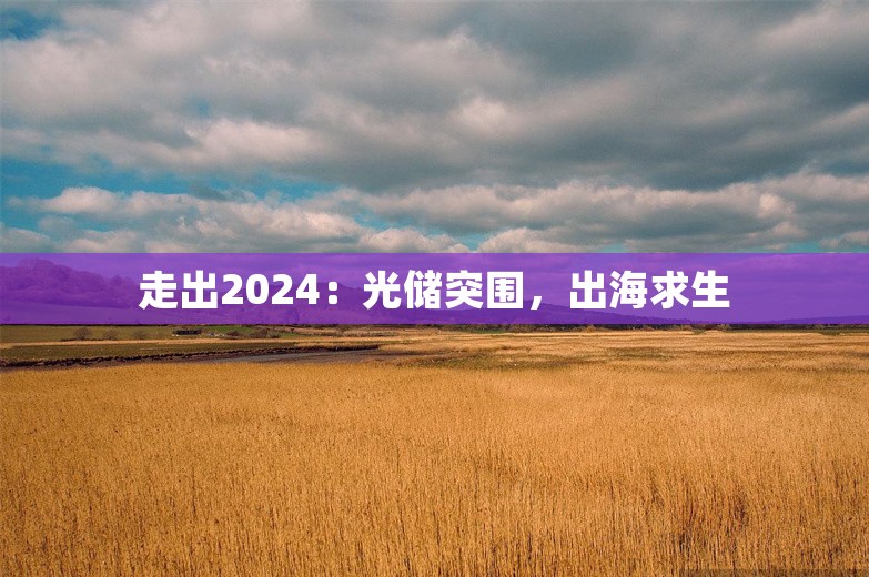 走出2024：光储突围，出海求生