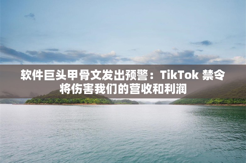 软件巨头甲骨文发出预警：TikTok 禁令将伤害我们的营收和利润