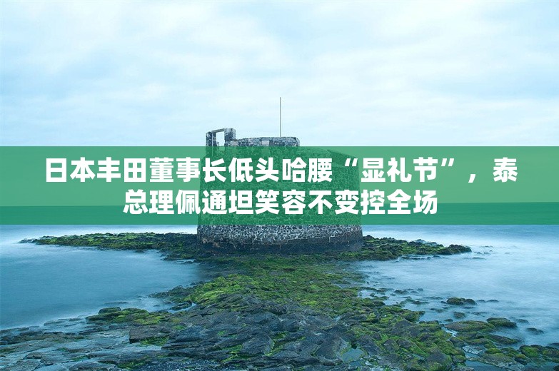 日本丰田董事长低头哈腰“显礼节”，泰总理佩通坦笑容不变控全场