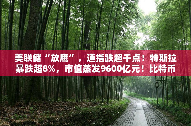 美联储“放鹰”，道指跌超千点！特斯拉暴跌超8%，市值蒸发9600亿元！比特币狂泻超6000美元，黄金跳水