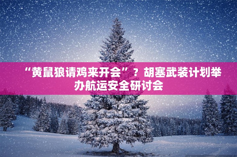 “黄鼠狼请鸡来开会”？胡塞武装计划举办航运安全研讨会