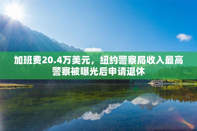 加班费20.4万美元，纽约警察局收入最高警察被曝光后申请退休