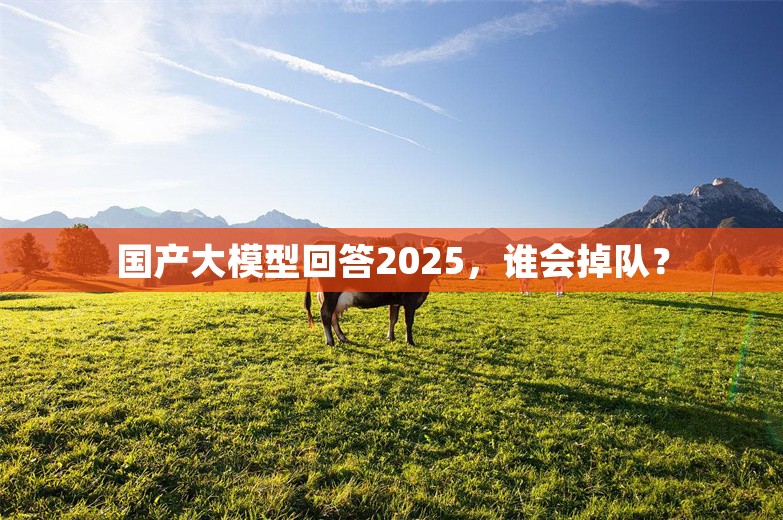 国产大模型回答2025，谁会掉队？