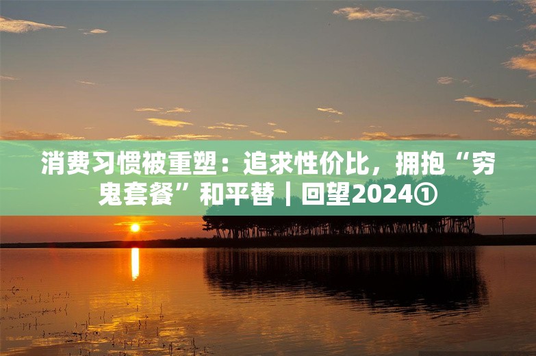 消费习惯被重塑：追求性价比，拥抱“穷鬼套餐”和平替｜回望2024①