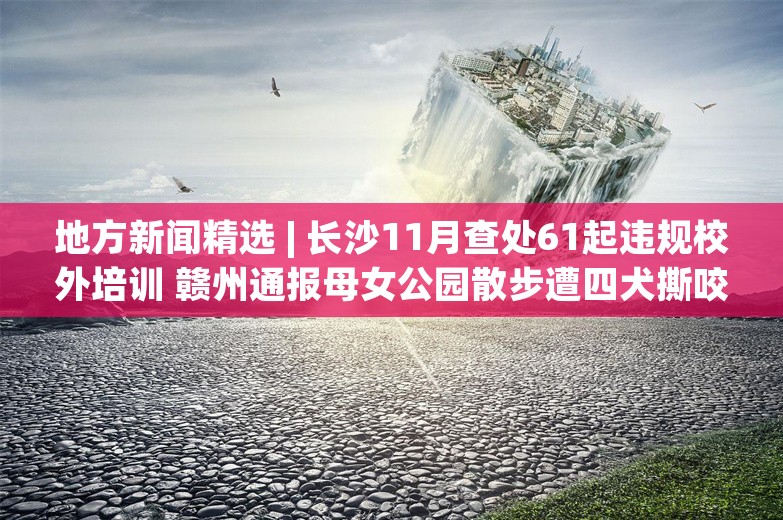 地方新闻精选 | 长沙11月查处61起违规校外培训 赣州通报母女公园散步遭四犬撕咬