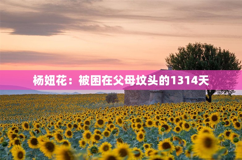 杨妞花：被困在父母坟头的1314天