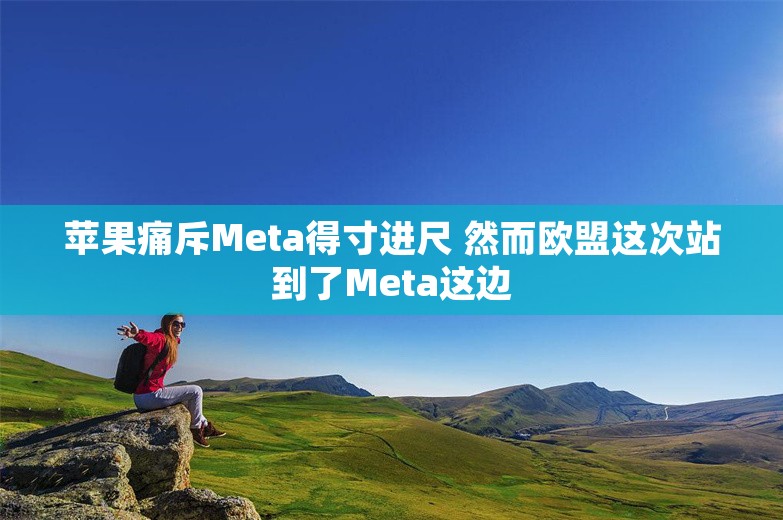 苹果痛斥Meta得寸进尺 然而欧盟这次站到了Meta这边