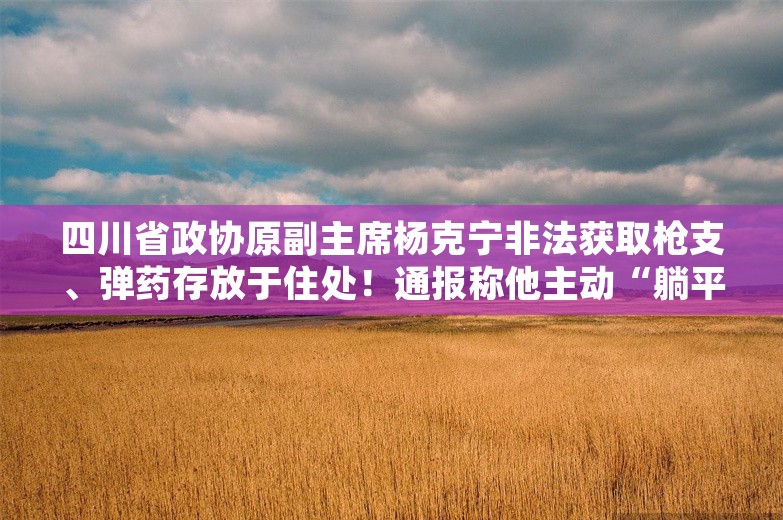 四川省政协原副主席杨克宁非法获取枪支、弹药存放于住处！通报称他主动“躺平”