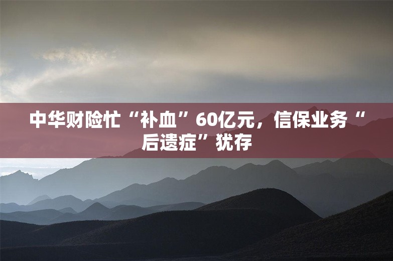 中华财险忙“补血”60亿元，信保业务“后遗症”犹存