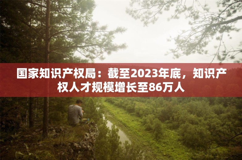 国家知识产权局：截至2023年底，知识产权人才规模增长至86万人