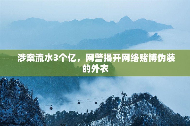  涉案流水3个亿，网警揭开网络赌博伪装的外衣