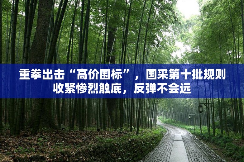 重拳出击“高价围标”，国采第十批规则收紧惨烈触底，反弹不会远