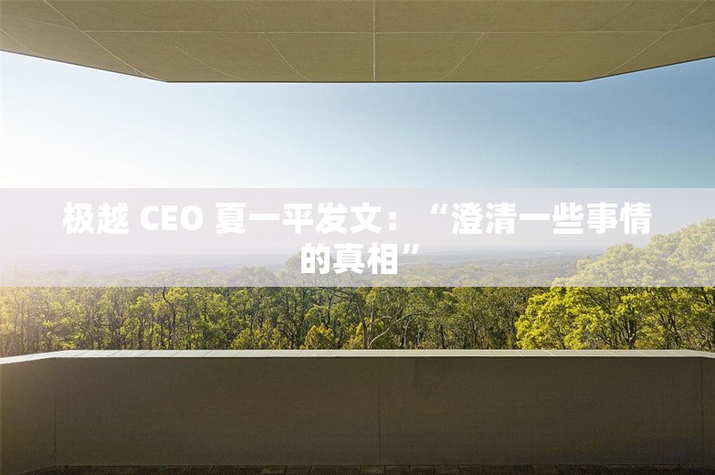 极越 CEO 夏一平发文：“澄清一些事情的真相”