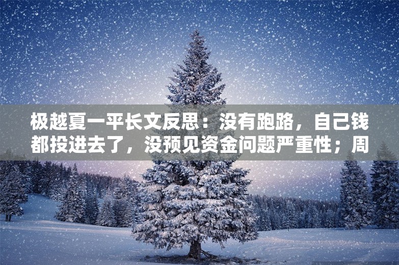 极越夏一平长文反思：没有跑路，自己钱都投进去了，没预见资金问题严重性；周鸿祎：超95%中国电脑都装了360；贾跃亭回应何时回国丨雷峰早报