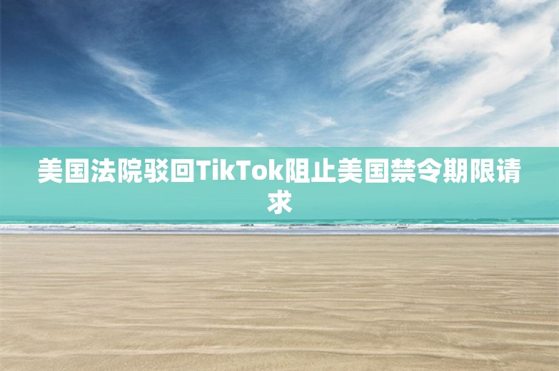 美国法院驳回TikTok阻止美国禁令期限请求