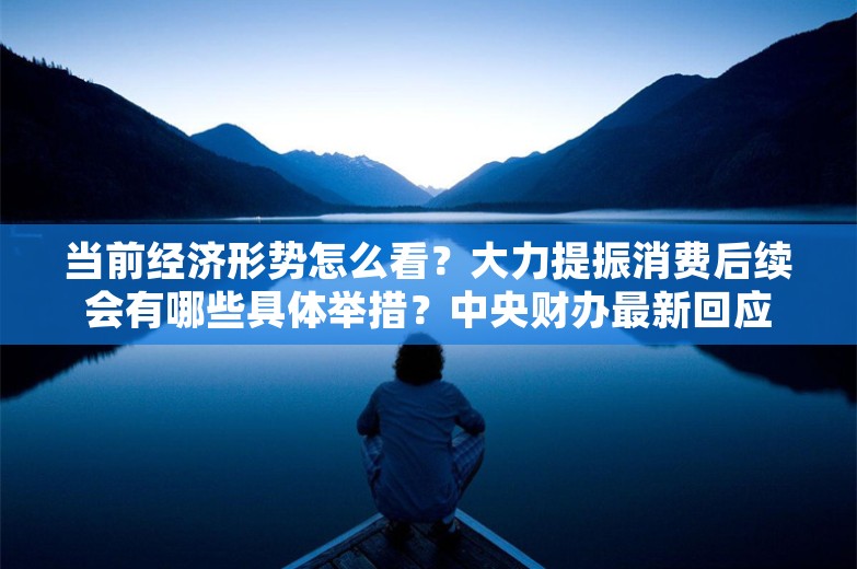 当前经济形势怎么看？大力提振消费后续会有哪些具体举措？中央财办最新回应