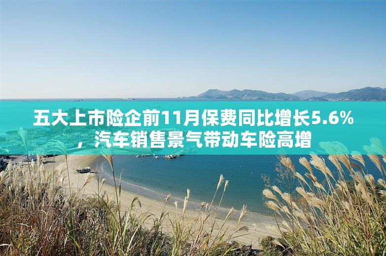 五大上市险企前11月保费同比增长5.6%，汽车销售景气带动车险高增