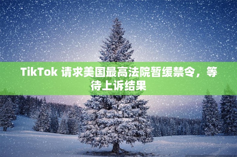 TikTok 请求美国最高法院暂缓禁令，等待上诉结果